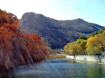 澳门二四六天天彩图库，佛山新港